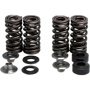 Valve Spring Kit 30-30880