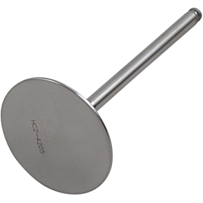 Del West Intake Valve DWCRF4502OSIV09