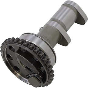 Exhaust Camshaft 4289-2E
