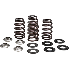 Kibblewhite Beehive Valve Spring Kit 96-96500