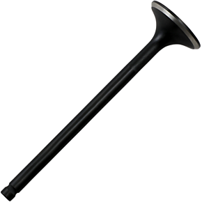 Intake Valve 30-30088