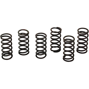 Clutch Spring Kit 501-58-06121