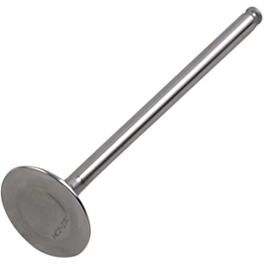 Exhaust Valve DW-CRF150REV07