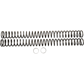 Race Tech Fork Springs - 0.38 kg/mm