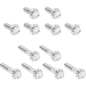Bolt Kit - Rocker Box - 12-Point - Titanium - Polished 300-992