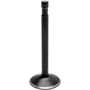 Exhaust Valve 70-4231