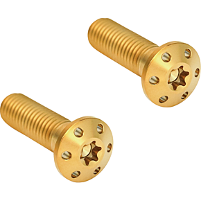 Mounting Bolts - Gold 300-919