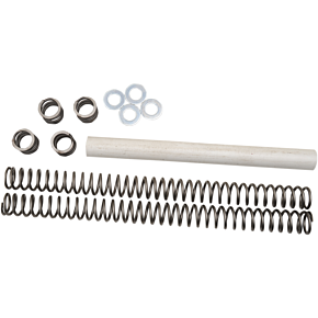 Race Tech Front Fork Spring Kit - 0.44 kg/mm
