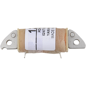 Ricks Motorsport Electric Charging Coil - Yamaha 22-903
