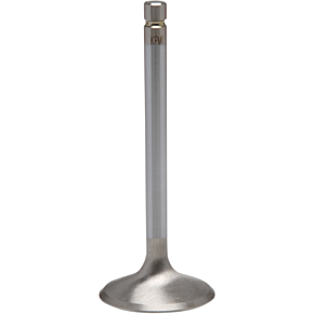 Intake Valve 40-4180H