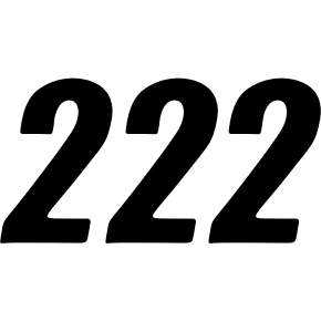 SX Plate Number - #2 - Black - 4" 45-24-2