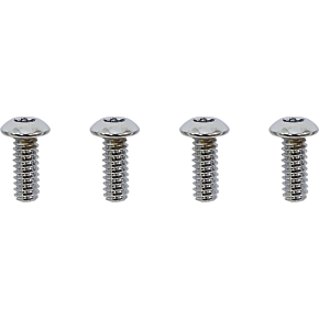 Switch Housing Screws - Chrome 2401-1565