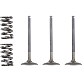 Valve and Spring Kit 28.SIS2424-2