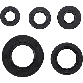 Oil Seal Set 0935-1202