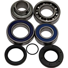 ALL BALLS Chain Case Bearing & Seal Kit