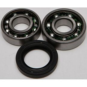 ALL BALLS Chain Case Bearing & Seal Kit