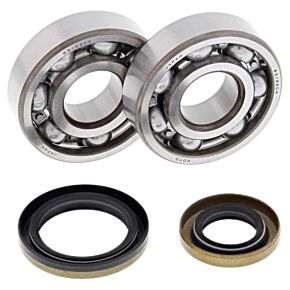ALL BALLS Crankshaft Bearing / Seal Kit Gas