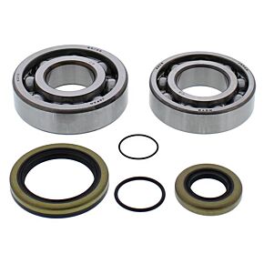 ALL BALLS Crankshaft Bearing / Seal Kit Gas