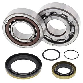 ALL BALLS Crankshaft Bearing / Seal Kit Gas