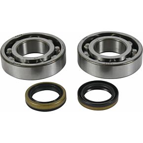 ALL BALLS Crankshaft Bearing/seal Kit