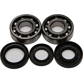 ALL BALLS Crankshaft Bearing/seal Kit