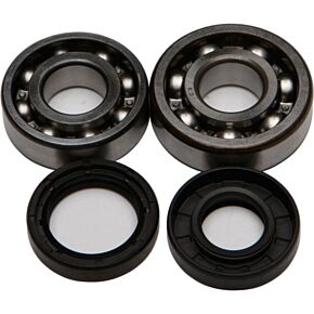 ALL BALLS Crankshaft Bearing/seal Kit