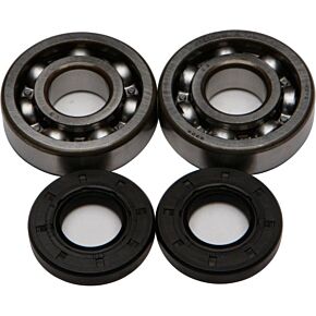 ALL BALLS Crankshaft Bearing/seal Kit