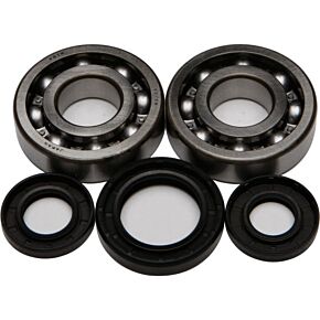 ALL BALLS Crankshaft Bearing/seal Kit