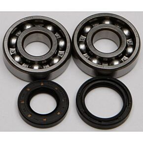 ALL BALLS Crankshaft Bearing/seal Kit