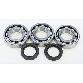 ALL BALLS Crankshaft Bearing/seal Kit