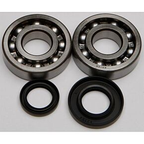 ALL BALLS Crankshaft Bearing/seal Kit