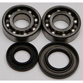 ALL BALLS Crankshaft Bearing/seal Kit