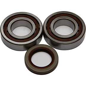 ALL BALLS Crankshaft Bearing/seal Kit