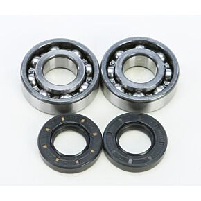 ALL BALLS Crankshaft Bearing/seal Kit