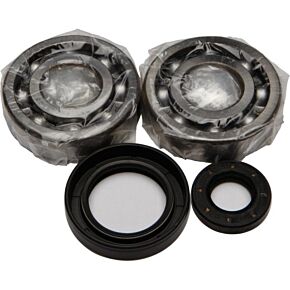 ALL BALLS Crankshaft Bearing/seal Kit