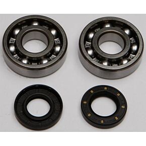 ALL BALLS Crankshaft Bearing/seal Kit