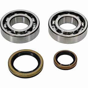 ALL BALLS Crankshaft Bearing/seal Kit
