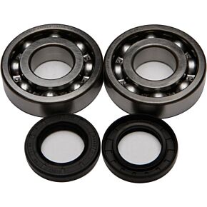 ALL BALLS Crankshaft Bearing/seal Kit