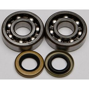ALL BALLS Crankshaft Bearing/seal Kit