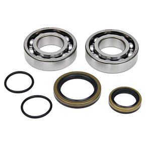 ALL BALLS Crankshaft Bearing/seal Kit