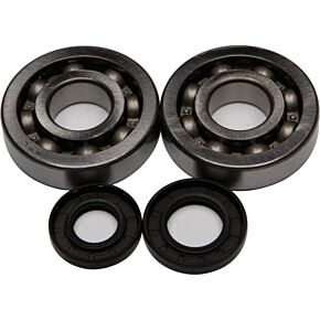 ALL BALLS Crankshaft Bearing/seal Kit