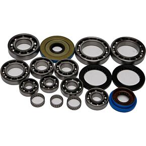 ALL BALLS Differential Bearing And Seal Kit