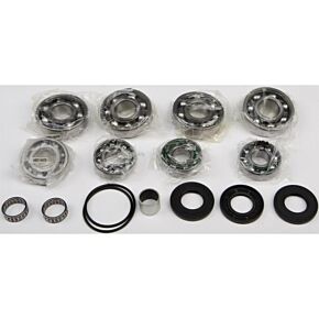ALL BALLS Differential Bearing And Seal Kit
