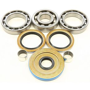 ALL BALLS Differential Bearing And Seal Kit