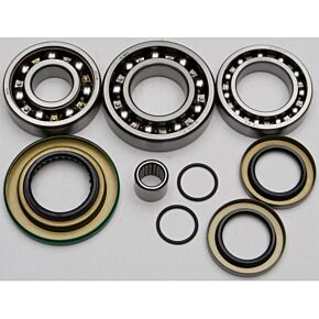 ALL BALLS Differential Bearing And Seal Kit