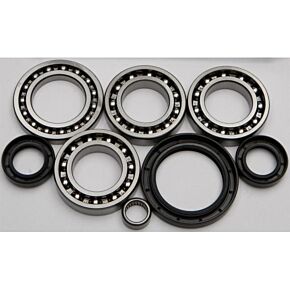 ALL BALLS Differential Bearing And Seal Kit