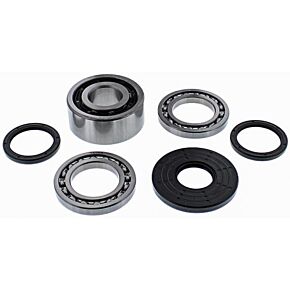 ALL BALLS Differential Kit
