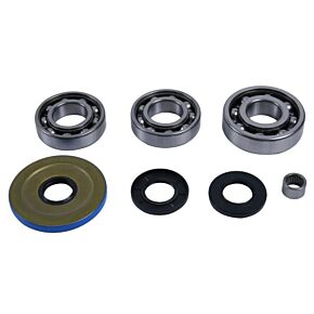 ALL BALLS Differential Kit