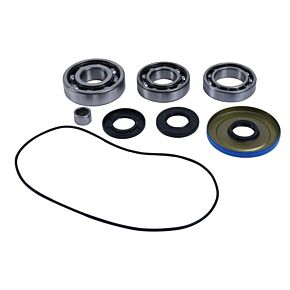 ALL BALLS Differential Kit