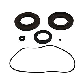 ALL BALLS Differential Seal Kit